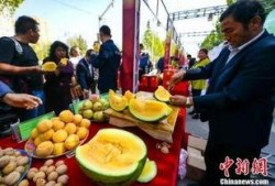 芒市吃瓜爆料最新事件,吃瓜爆料揭开最新神秘事件面纱