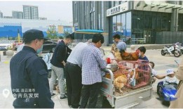 满员在线观看,揭秘热门剧集的火爆现象