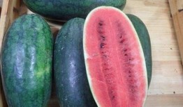 山东两位网红吃瓜事件