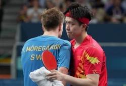 王楚钦圈内爆料视频最新,圈内爆料视频背后的惊人真相