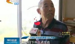井陉最新爆料视频,揭秘神秘事件背后的真相