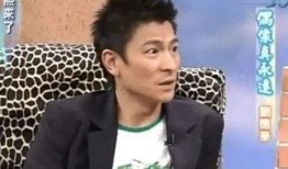 刘德华爆料刘亮视频播放,视频播放背后的惊人真相