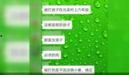 爆料河北学校事件视频播放
