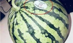 涉县网红吃瓜,揭秘网络红人的幕后故事