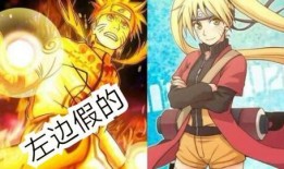 火影最新爆料仙鸣忍术,揭秘火影世界中的神秘力量新篇章