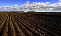 黑土地最新爆料,揭秘神秘事件背后的惊人真相