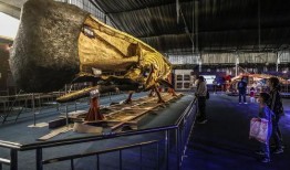 抹香鲸在线观看,抹香鲸的神秘世界在线揭秘