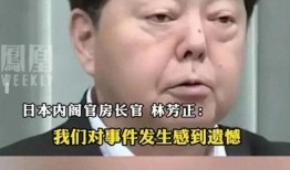冤情爆料视频在线观看