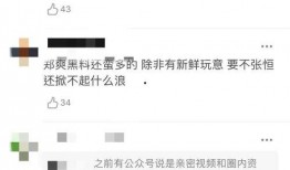 张恒爆料邓爽视频播放,真相与争议