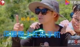 女朋友爆料小猪视频大全,女友爆料背后的欢乐瞬间