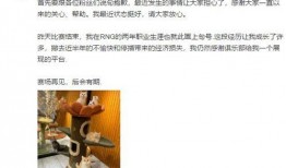 小智开播爆料了吗最新消息,揭秘幕后故事与精彩瞬间