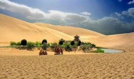 大漠孤客免费吃瓜网站,揭秘网络娱乐新趋势