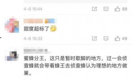 新闻网友爆料视频下载安装,网友爆料视频下载安装全过程揭秘