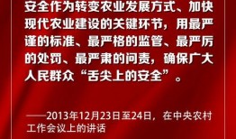 新闻坊爆料经典话语,话语揭示社会真相