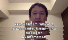 日本吹哨人爆料视频大全,视频大全背后的真相与警示