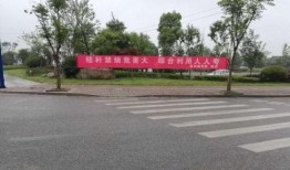 安徽广德最新爆料新闻,最新爆料揭示惊人真相