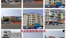 东莞常平最新爆料消息,揭秘城市新动态与热点事件