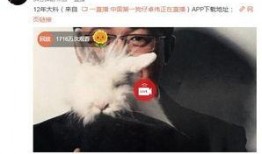 最新爆料大鲜肉视频播放,揭秘幕后真相与惊人播放量