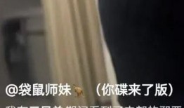 三只羊公司最新视频爆料,创新产品引行业热议