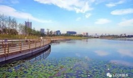 桐乡凤凰湖爆料最新消息