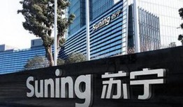 苏宁最新爆料新闻,揭秘神秘新品，引领科技潮流新风向