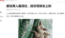 头条搞笑视频在线观看,在线观看，欢乐无限