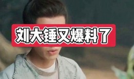 刘大锤爆料周一新闻视频,周一新闻视频背后的惊人内幕