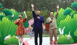 武汉捐献热血爆料视频最新,真相与争议的交织