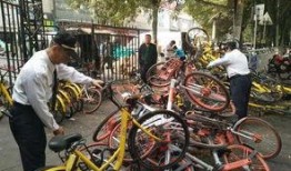 郑州自行车最新爆料视频,揭秘城市绿色出行新潮流