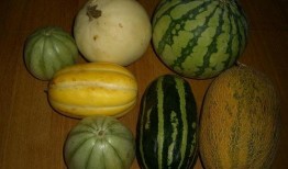 各种网红爆料吃瓜视频,揭秘娱乐圈幕后真相