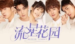 流星花园免费在线观看,重温经典，免费在线重温青春记忆