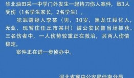 河北省高校爆料案件最新,真相揭秘，校园安全再引关注”
