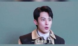 群演爆料王鹤棣视频,王鹤棣幕后花絮视频曝光，真实一面引网友热议