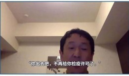 日本吹哨人爆料视频大全,视频大全背后的真相与警示