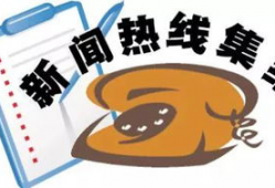爆料新闻电话热线电话