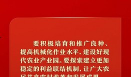 新闻坊爆料经典话语,话语揭示社会真相