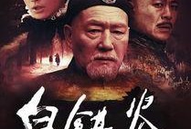 白银谷 全集在线观看,穿越历史长河的传奇之旅