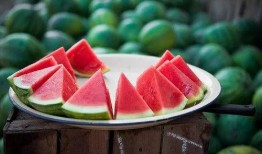 吃瓜群vx免费,免费体验，畅享无限娱乐盛宴