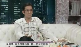 天涯爆料吴启华视频大全,吴启华视频大全背后的故事与真相