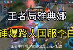 王者爆料路人视频大全最新,最新路人视频大全精彩瞬间大盘点