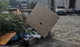 珠海公交车爆料视频最新,爆料视频揭示公交改革新举措