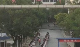 开平金山爆料事件始末最新消息,最新进展与真相揭秘