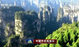 张家界新闻爆料,揭秘神秘山城背后的故事与奇迹