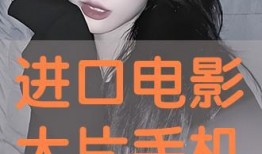 在线大片免费观看,免费在线大片，尽在掌握