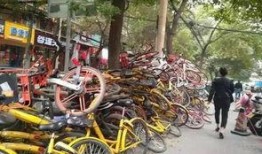 郑州自行车最新爆料视频,揭秘城市绿色出行新潮流