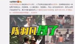 大顺妈妈爆料视频全集下载,揭秘幕后真相