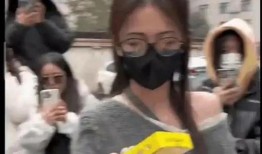 文安吃瓜爆料视频,娱乐圈幕后真相大曝光