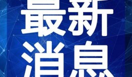 白露夺宝最新爆料视频,揭秘最新爆料视频中的神秘宝藏与惊险历程
