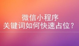 小程序爆料最新看点,揭秘功能升级与亮点抢先看