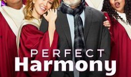 完美之声在线观看,在线观看，感受音乐的魅力之旅